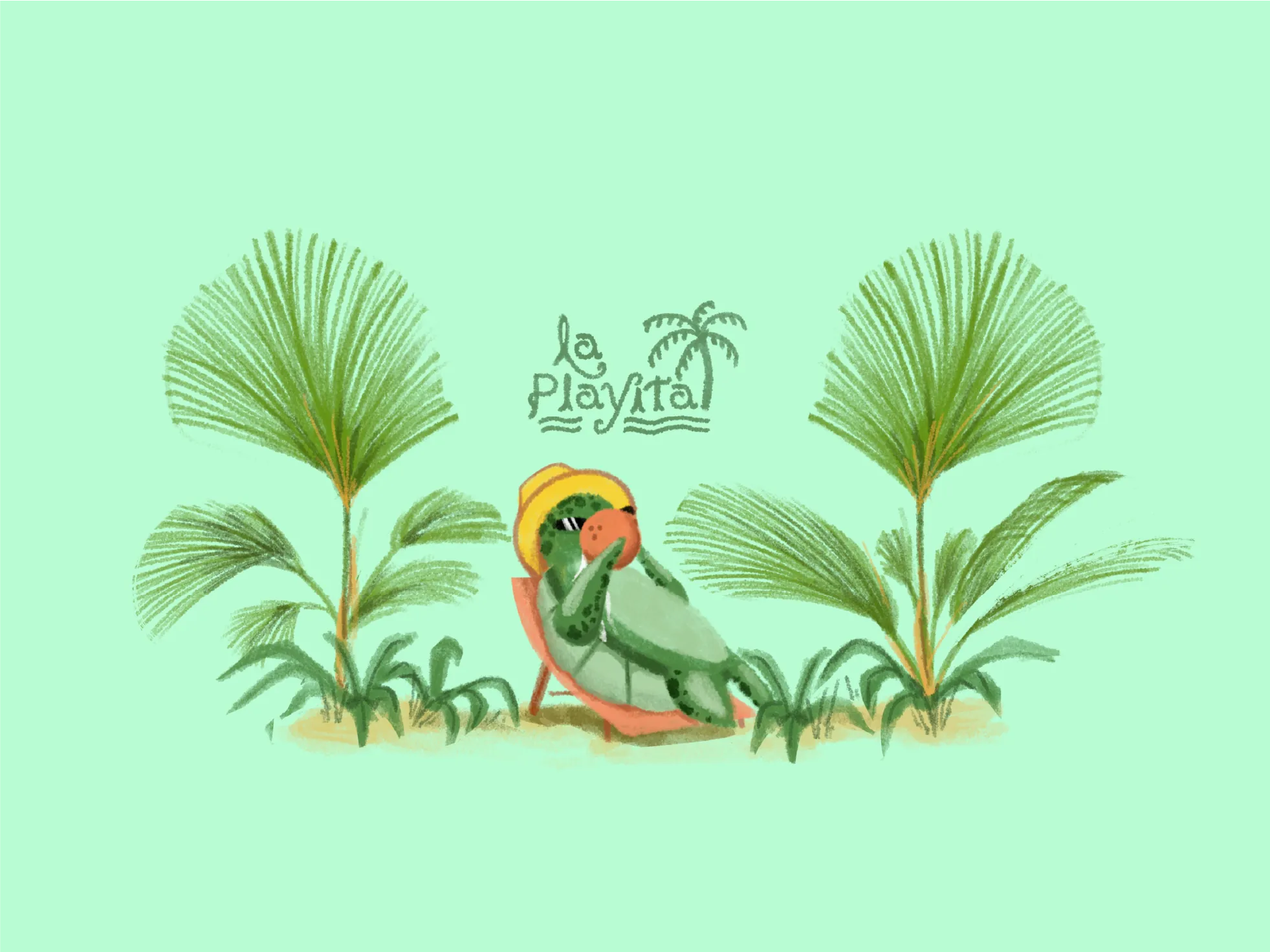 LA PLAYITA 